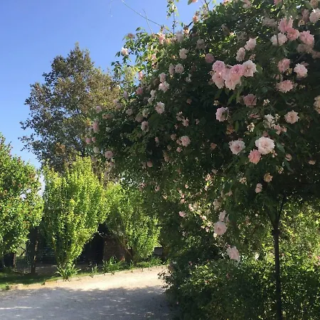 Fontanaro Farm And Culinary School Villa Paciano Exterior photo