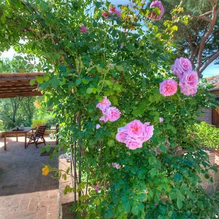 Fontanaro Farm And Culinary School Villa Paciano Exterior photo