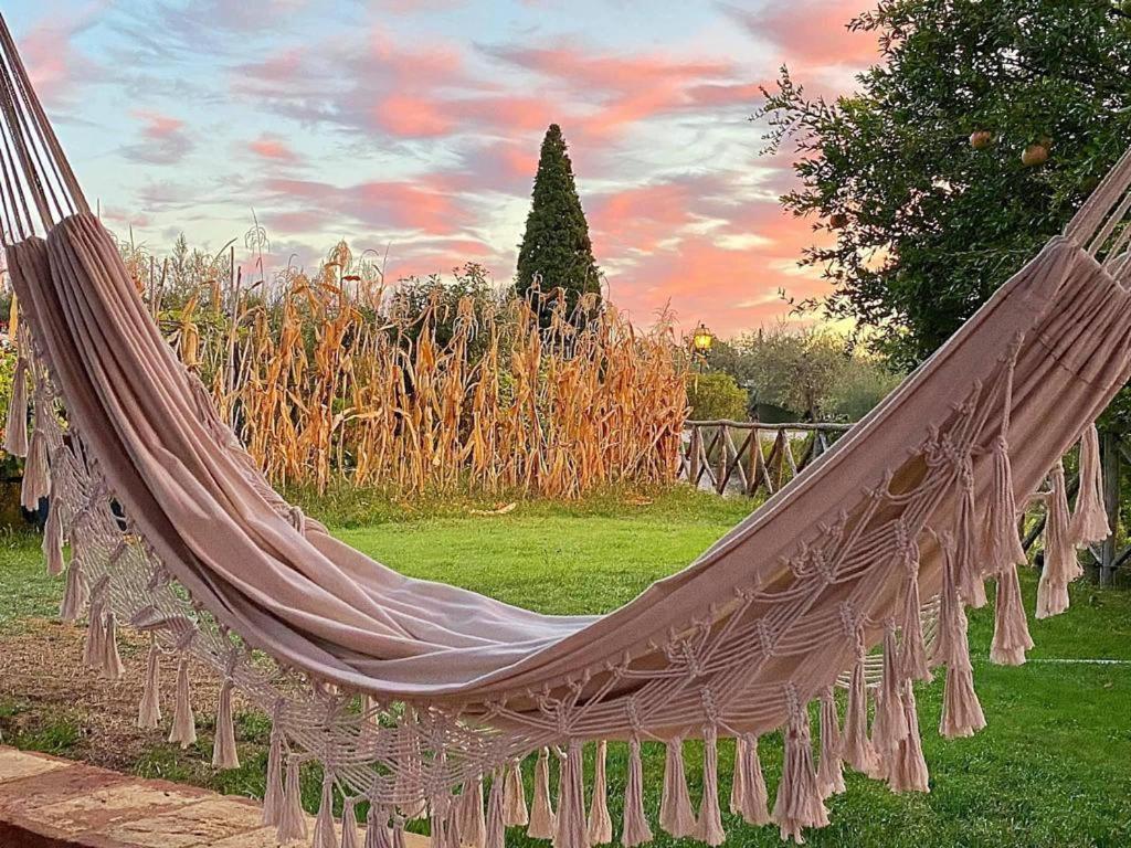 Fontanaro Farm And Culinary School Holiday home